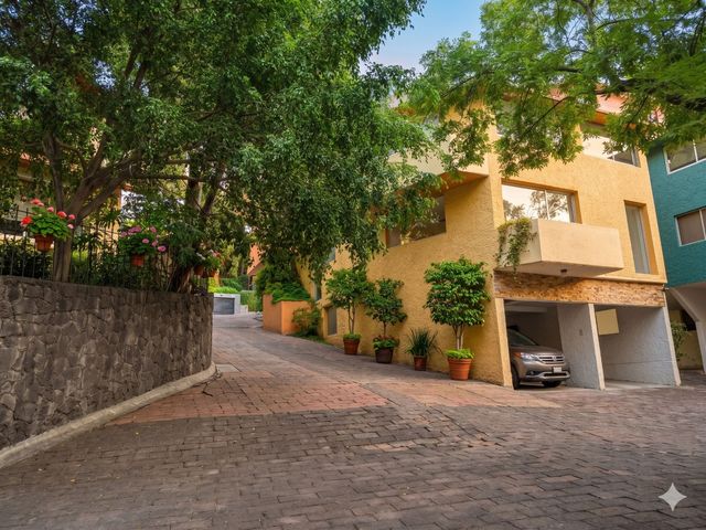place photo 34