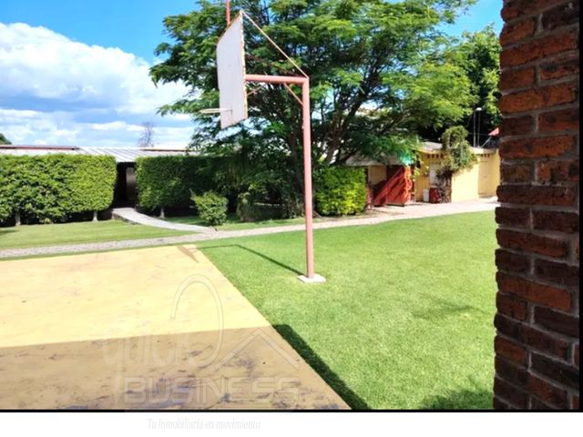 place photo 16