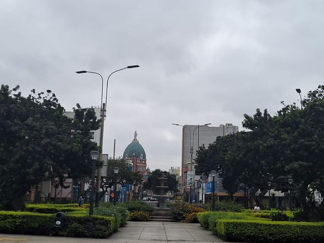 place photo 15