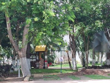 place photo 28