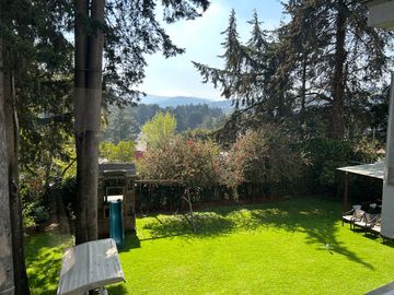 place photo 21