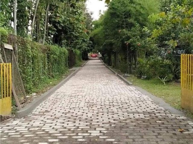 place photo 9
