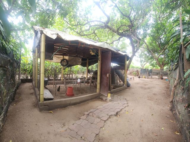 place photo 31