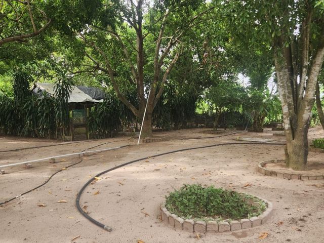 place photo 26