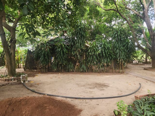 place photo 25