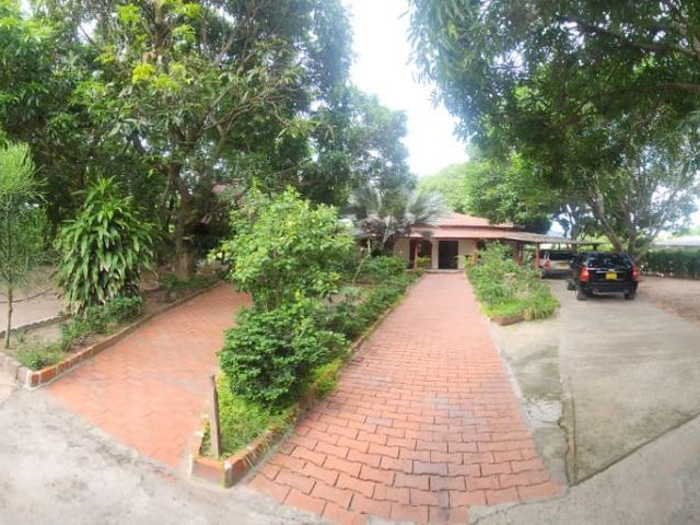 place photo 32