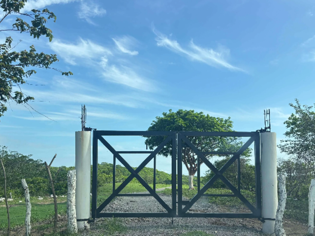 place photo 7
