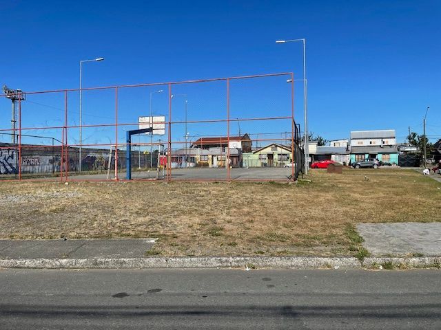 place photo 26
