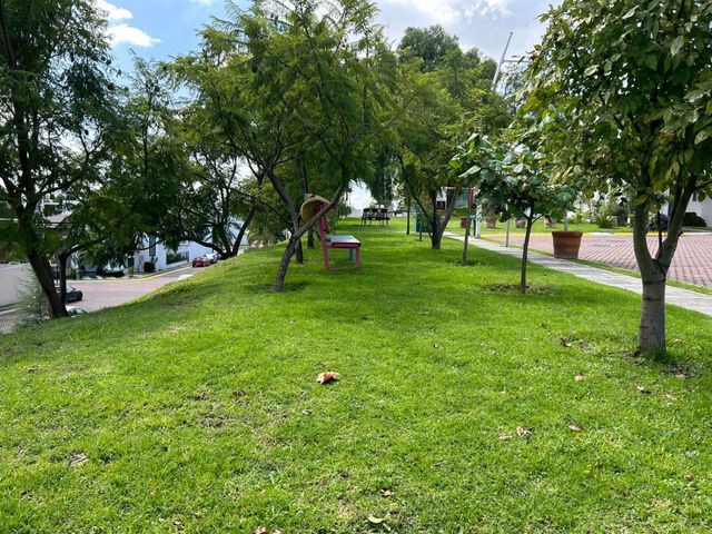 place photo 44