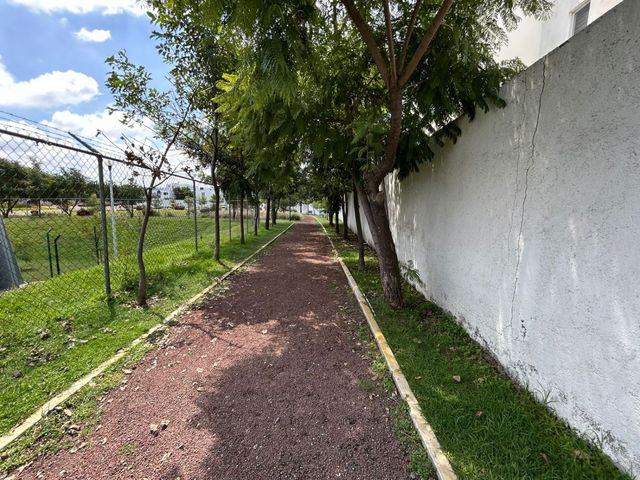 place photo 53