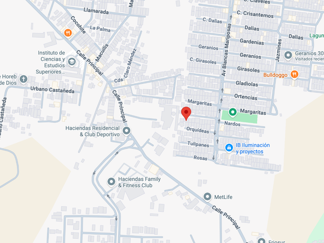 place photo 7