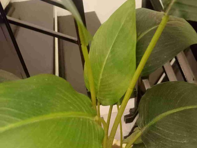 place photo 44