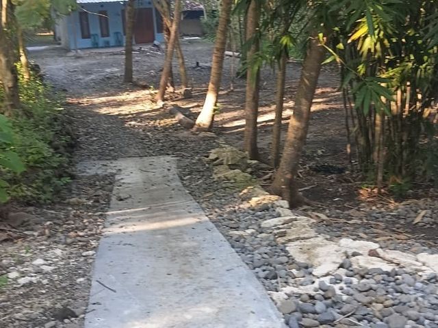 place photo 7
