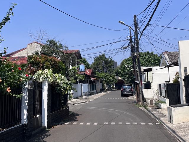 place photo 13