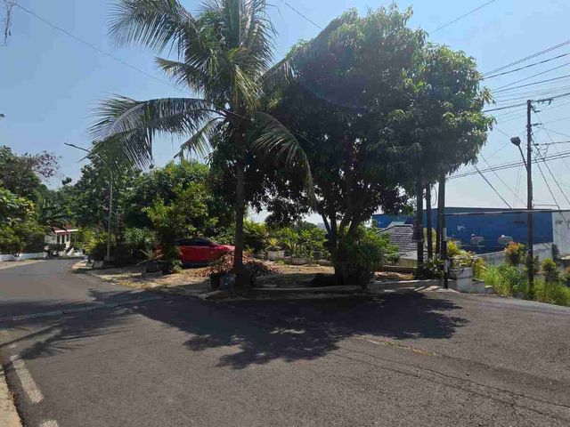 place photo 25