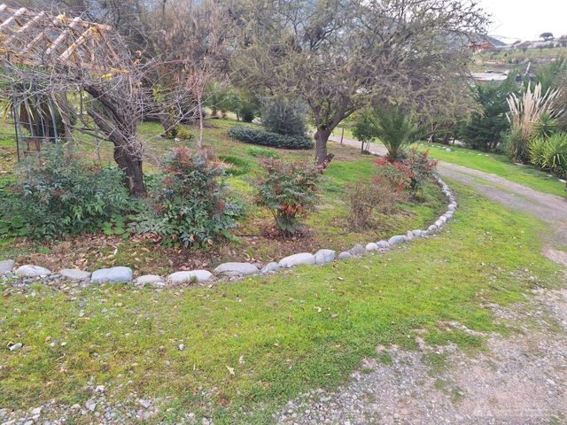 place photo 37