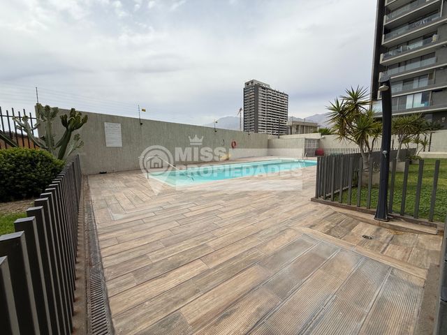 place photo 39