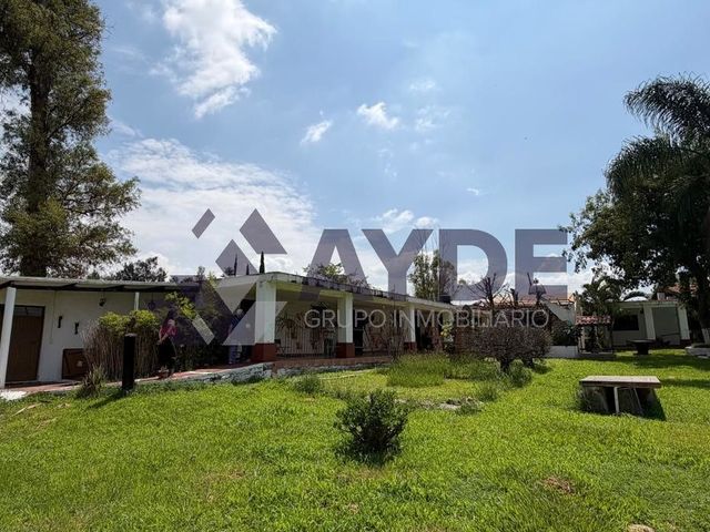 place photo 26