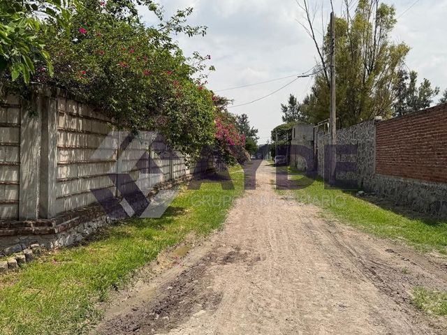 place photo 35