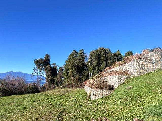 place photo 59
