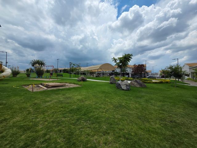 place photo 30