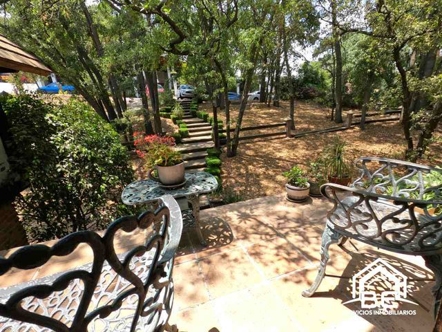 place photo 27