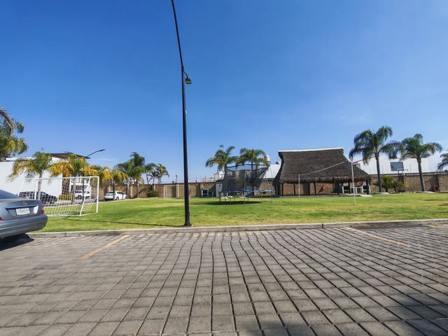 place photo 40