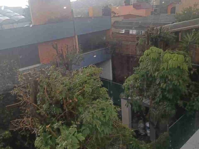 place photo 33