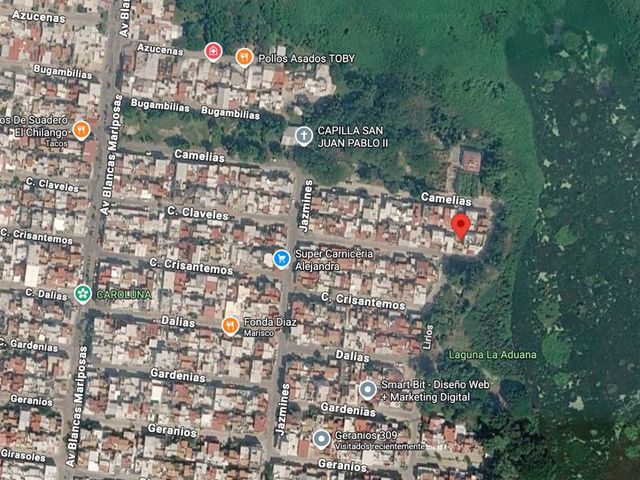 place photo 7