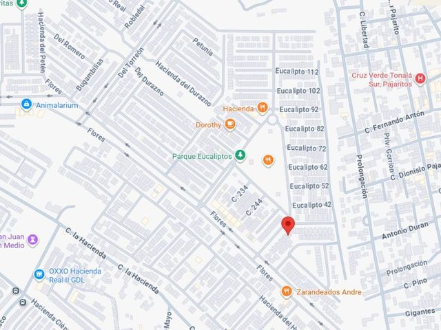 place photo 7