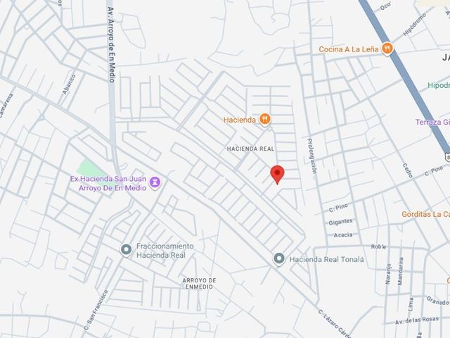 place photo 8