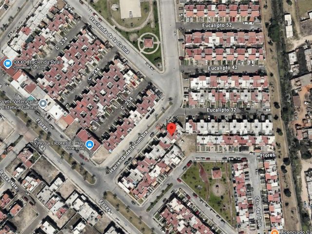 place photo 11