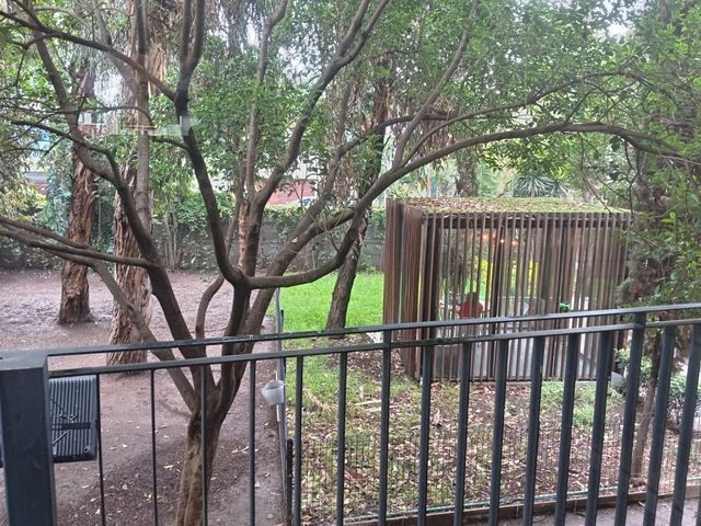 place photo 41