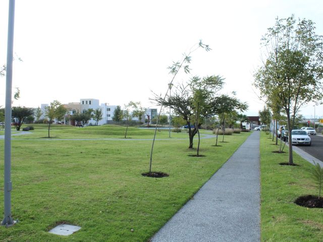place photo 35