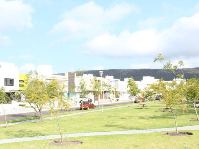 place photo 40