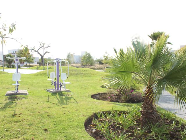 place photo 41