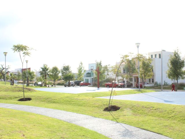 place photo 45