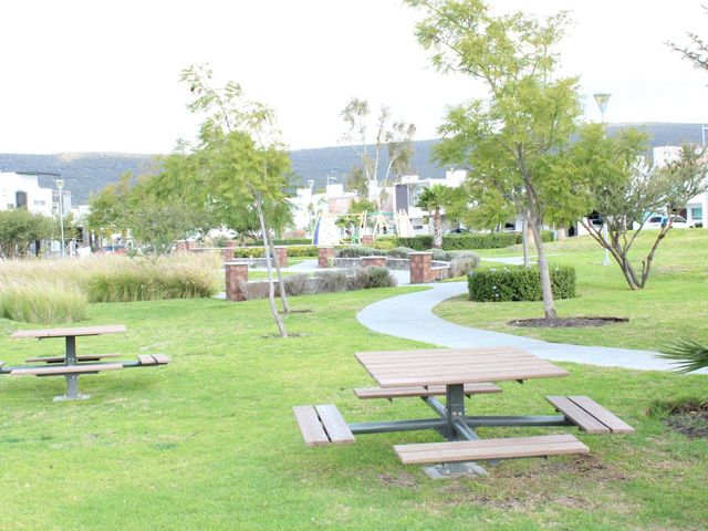 place photo 48
