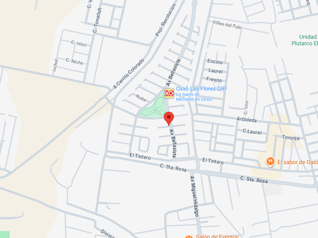 place photo 12