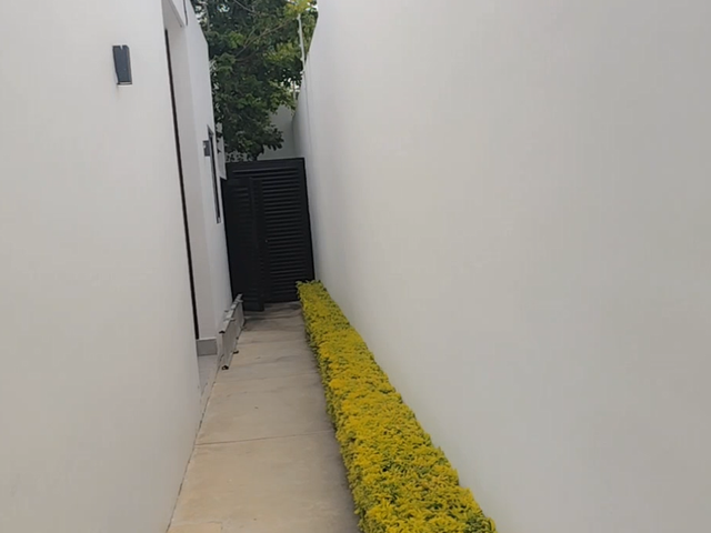 place photo 47