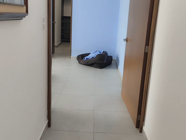 place photo 71