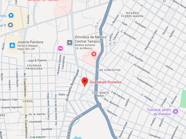 place photo 8