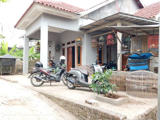 place photo 6