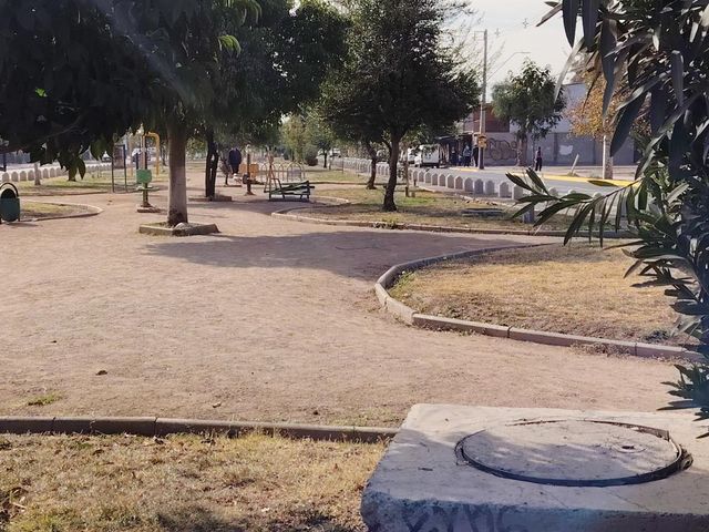 place photo 43
