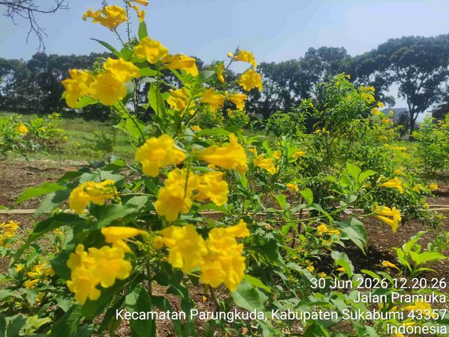 place photo 4