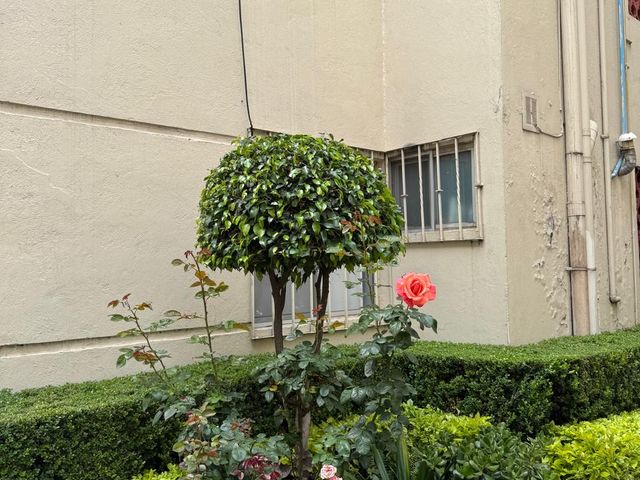 place photo 18
