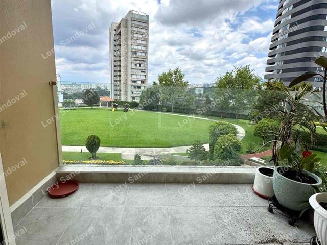 place photo 31