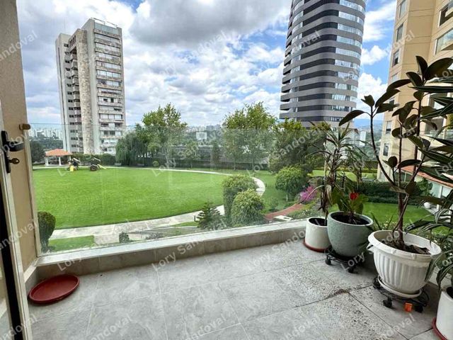 place photo 30