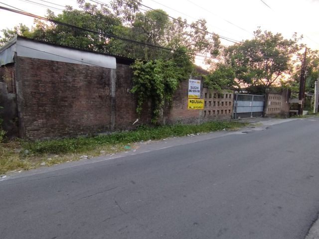 place photo 12
