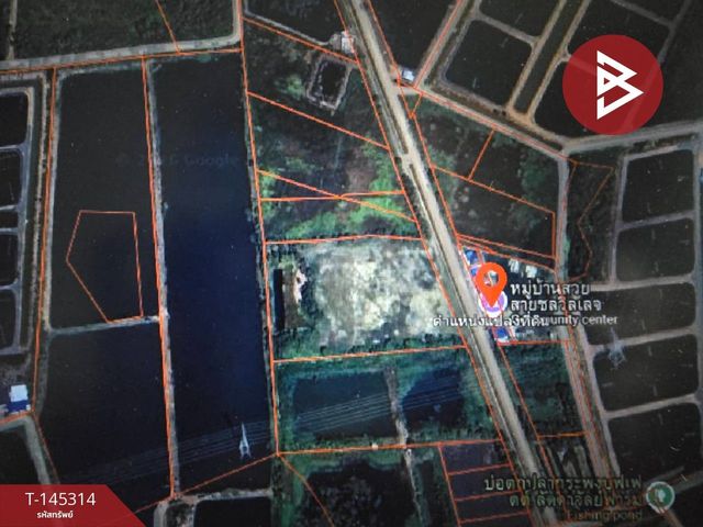 place photo 11